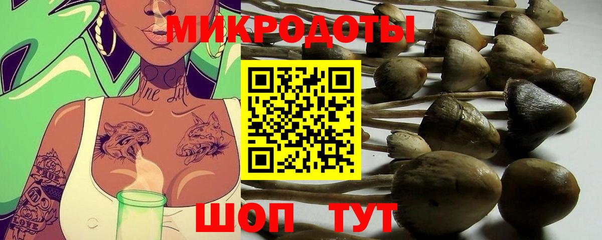 купить   Вход с VPN  Ишимбай  Галлюциногенные грибы Cubensis 